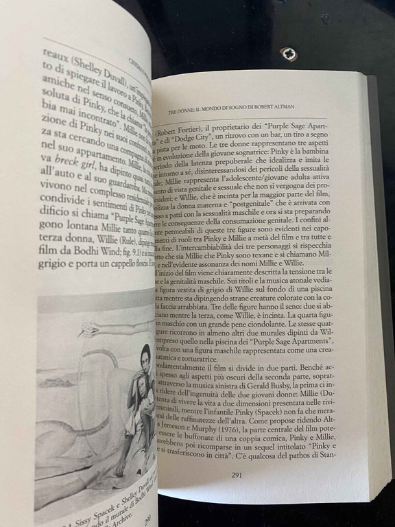 Cinema e psichiatria, G. O Gabbard - K. Gabbard, Raffaello …