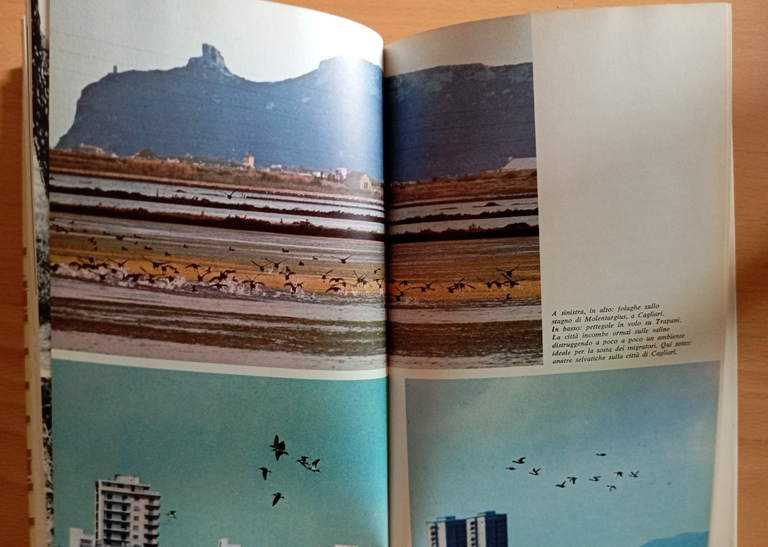 Clandestini in città, Fulco Pratesi, Mondadori, 1975, con sovracoperta | Immagine Gallery 10