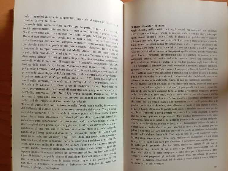 Clandestini in città, Fulco Pratesi, Mondadori, 1975, con sovracoperta | Immagine Gallery 12