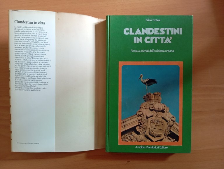 Clandestini in città, Fulco Pratesi, Mondadori, 1975, con sovracoperta | Immagine Gallery 4