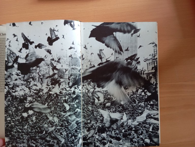 Clandestini in città, Fulco Pratesi, Mondadori, 1975, con sovracoperta | Immagine Gallery 5