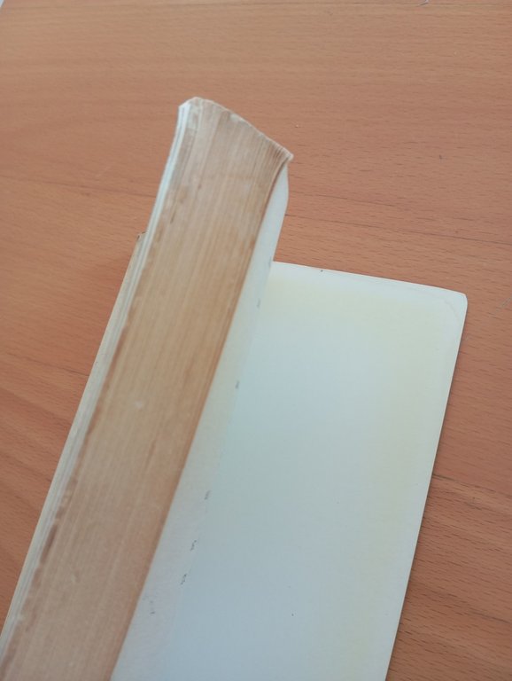 Co-ire Album sistematico dell'infanzia, Scherer - Hocquenghem, Feltrinelli, 1979 | Immagine Gallery 10