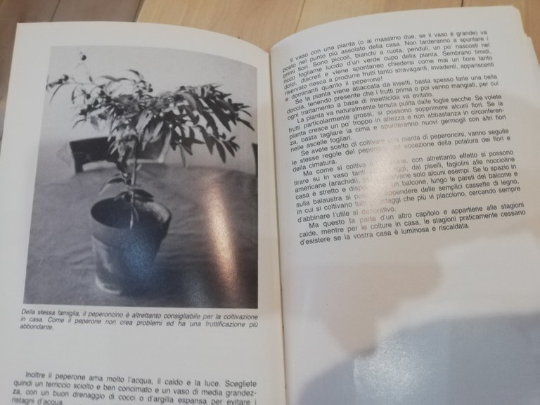 Come piantare un seme, Gun Laudbord, Edizioni Agricole, 1985 | Immagine Gallery 21