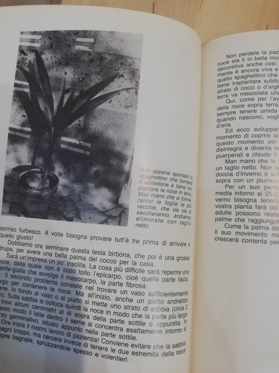 Come piantare un seme, Gun Laudbord, Edizioni Agricole, 1985 | Immagine Gallery 18