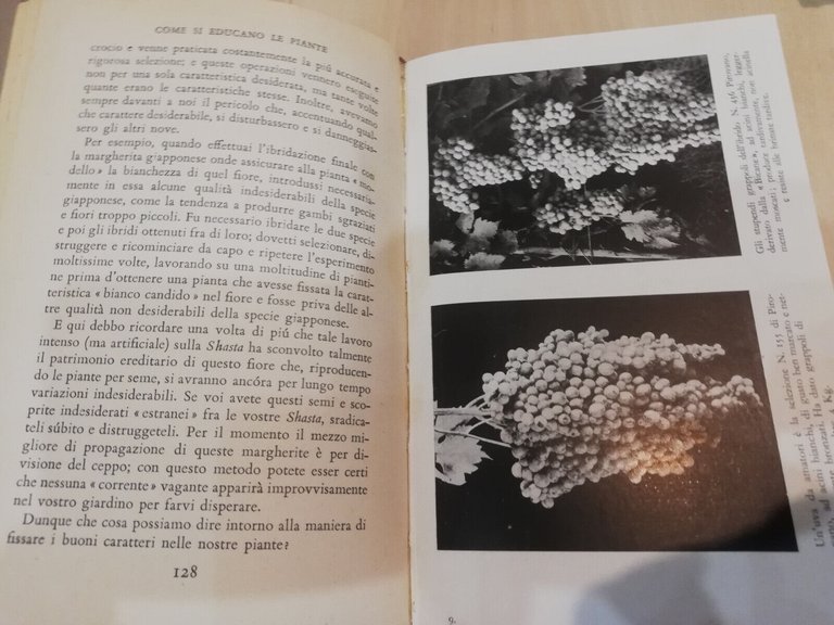 Come si educano le piante, Luther Burbank, Mondadori, 1941