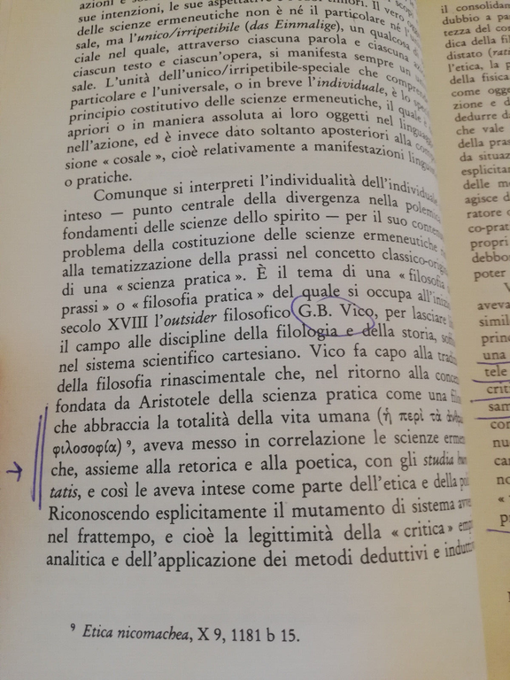 Comprendere o spiegare, Manfred Riedel, 1989, Guida