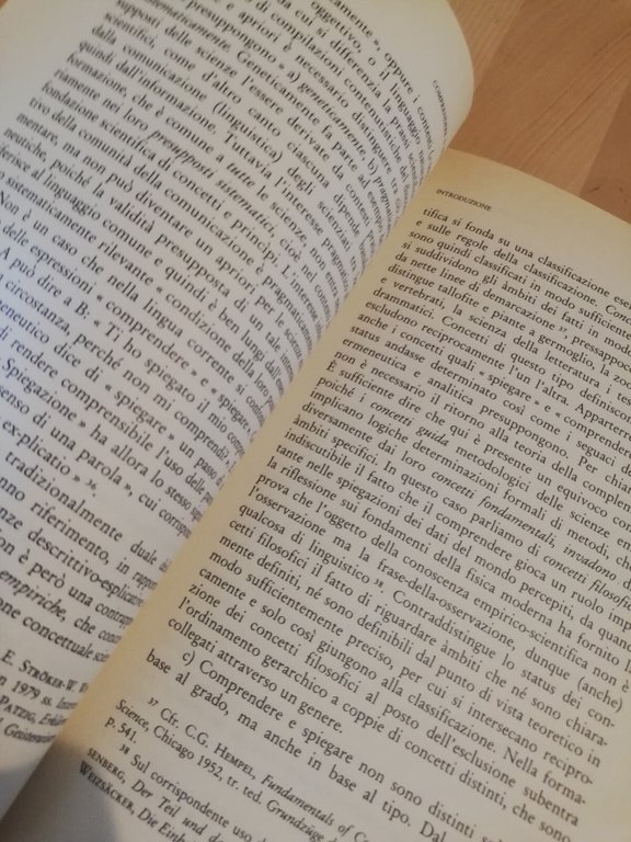 Comprendere o spiegare?, Manfred Riedel, 1989, Guida