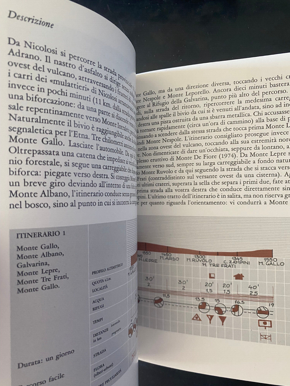 Conoscere l'Etna, Giuseppe Riggio - Giuseppe Vitali, Sellerio, 1987 | Immagine Gallery 29