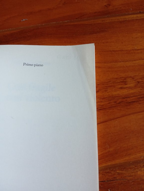 Così fragile così violento, Giuliana Dal Pozzo, Editori Riuniti, 2000