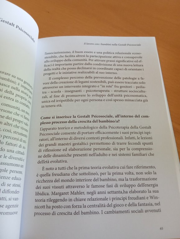 Costruire insieme è possibile, Antonietta Laporta, 2018