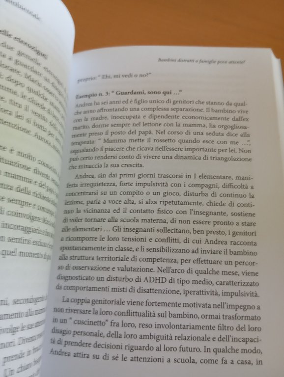Costruire insieme è possibile, Antonietta Laporta, 2018