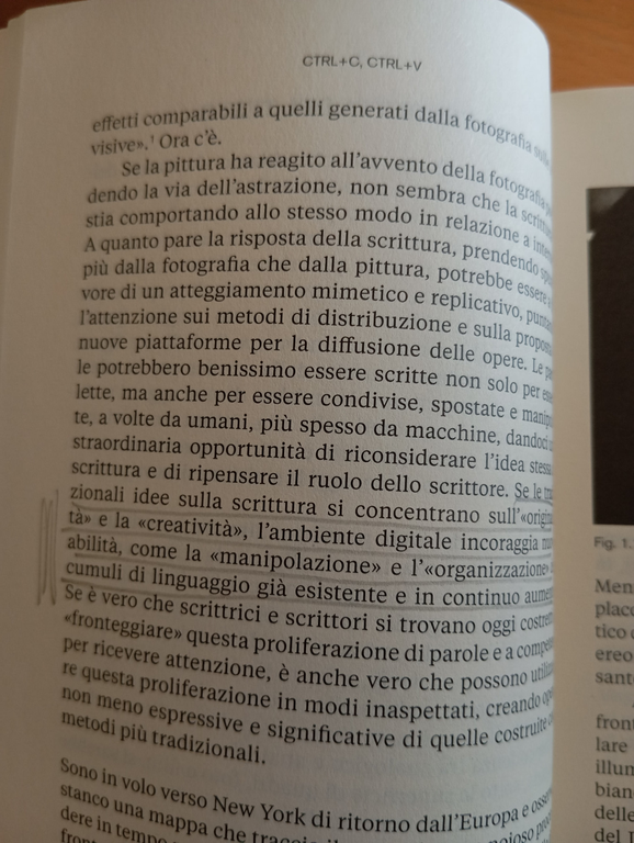CTRL+C, CTRL+V (scrittura non creativa), Kenneth Goldsmith, Nero, 2019