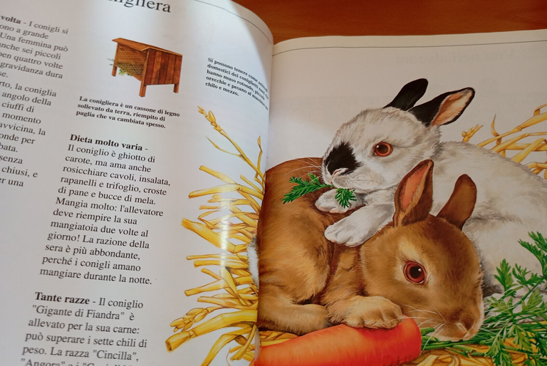 Cuccioli della fattoria, Dami Editore, 1994