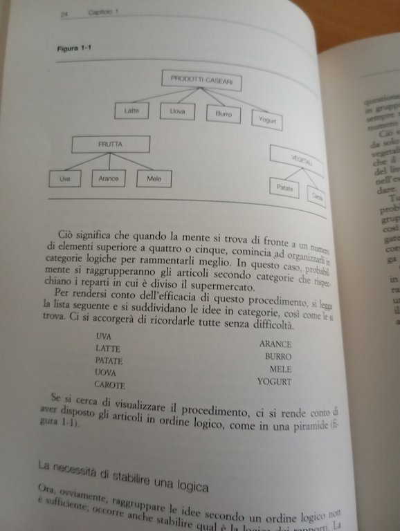Dall'idea al testo, Barbara Minto, ISEDI, 1988