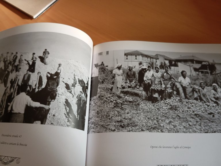 Dalla rete all'aratro, Mondo agricolo luchese, 2007