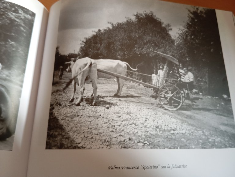 Dalla rete all'aratro, Mondo agricolo luchese, 2007