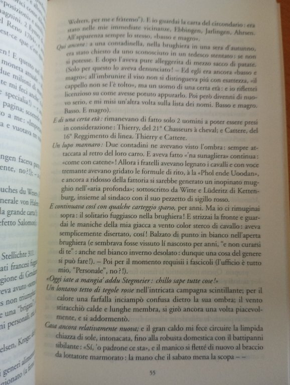 Dalla vita di un fauno, Arno Schmidt, Lavieri, 2006 | Immagine Gallery 11