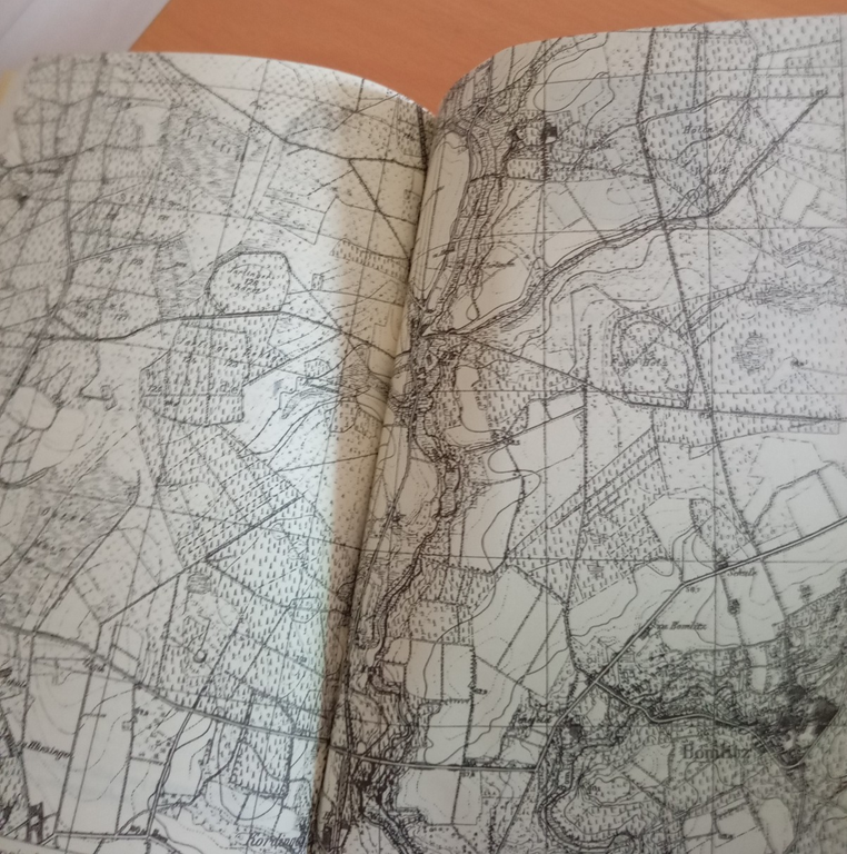 Dalla vita di un fauno, Arno Schmidt, Lavieri, 2006 | Immagine Gallery 12