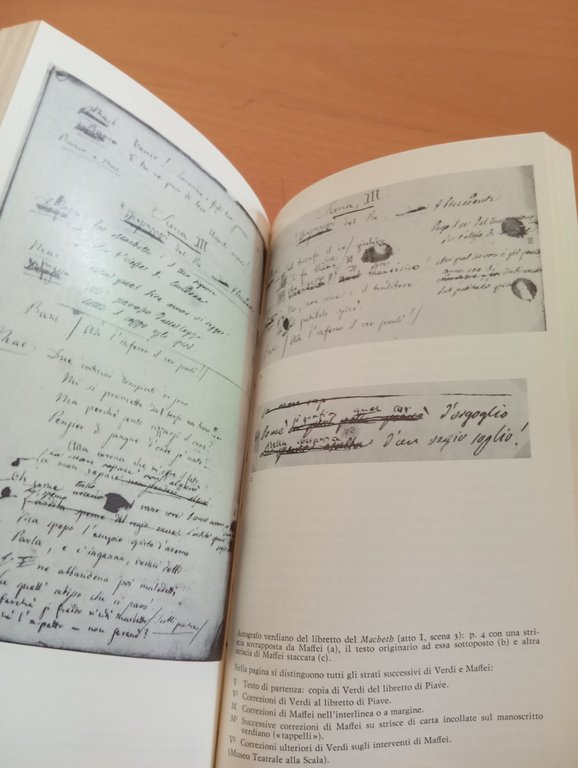 Daniela Goldin, La vera Fenice. Librettisti e libretti, Einaudi, 1985 | Immagine Gallery 11