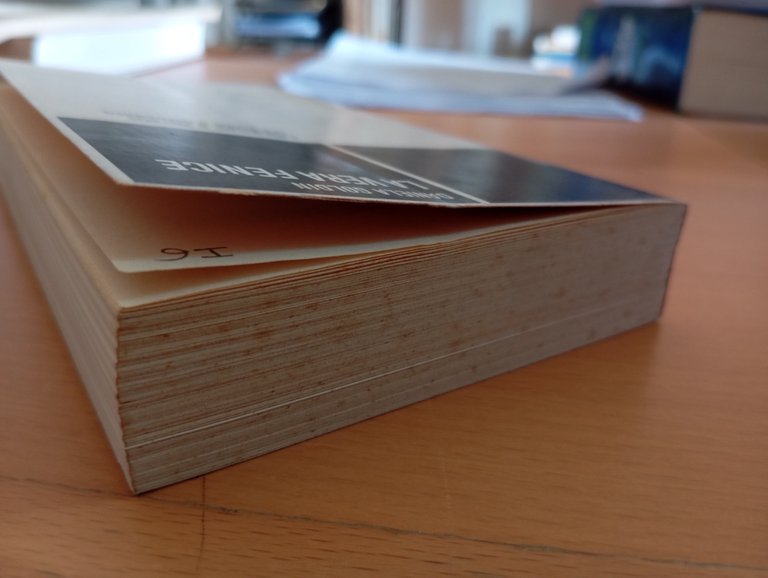 Daniela Goldin, La vera Fenice. Librettisti e libretti, Einaudi, 1985 | Immagine Gallery 6