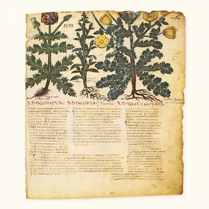 De Materia Medica Il Dioscoride di Napoli, 2 volumi, Aboca …