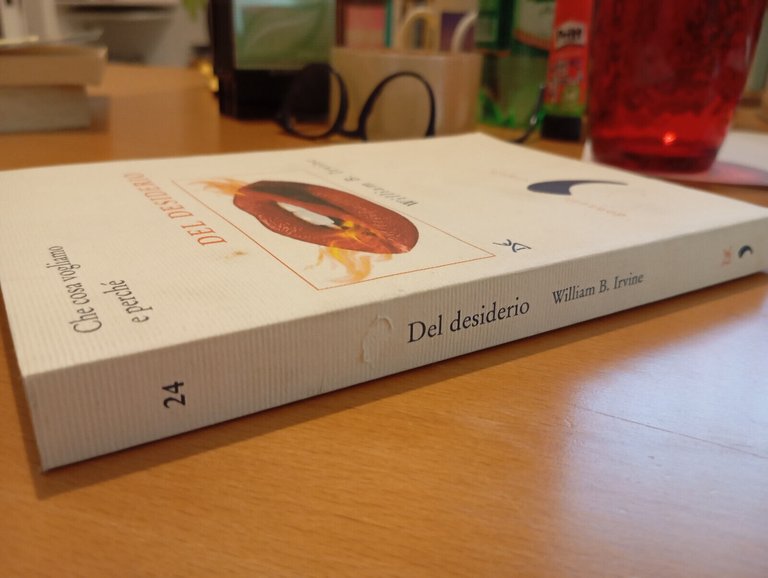 Del desiderio, William B. Irvine, Donzelli, 2006