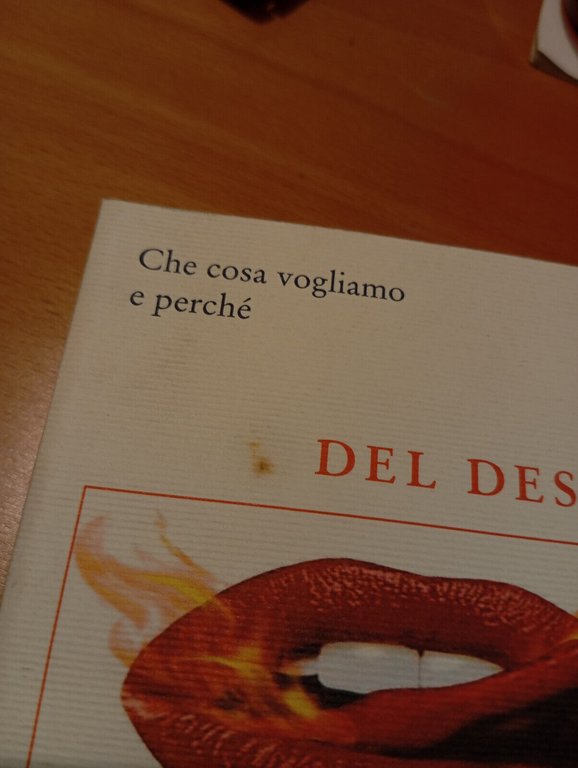 Del desiderio, William B. Irvine, Donzelli, 2006