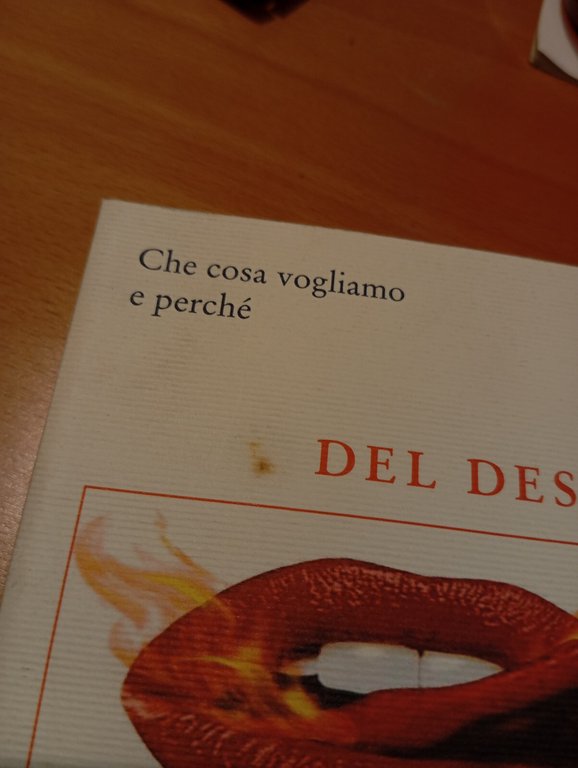 Del desiderio, William B. Irvine, Donzelli, 2006 | Immagine Gallery 10