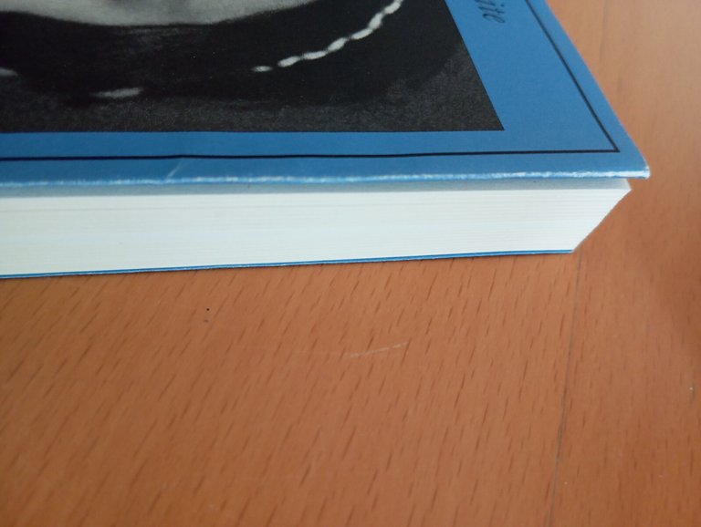 Devo raccontare Diario 1941-1945, Masha Rolnikaite, Adelphi, 2005