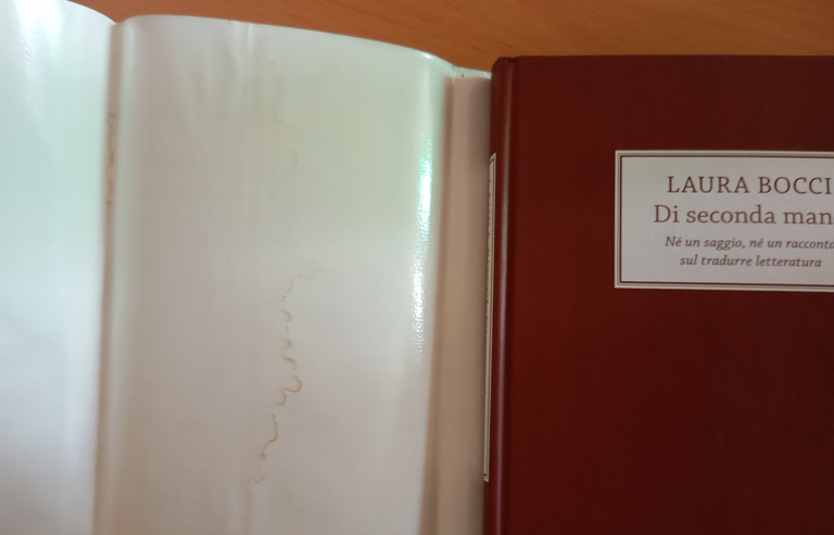 Di seconda mano. Sul tradurre letteratura, Laura Bocci, Rizzoli, 2004