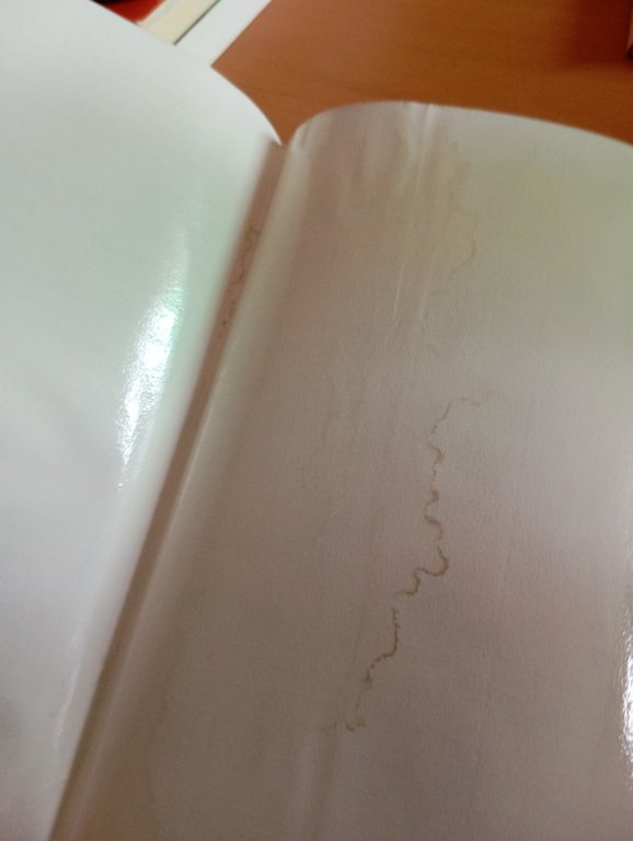 Di seconda mano. Sul tradurre letteratura, Laura Bocci, Rizzoli, 2004