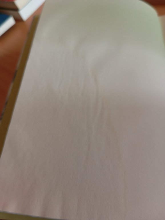 Di seconda mano. Sul tradurre letteratura, Laura Bocci, Rizzoli, 2004 | Immagine Gallery 8