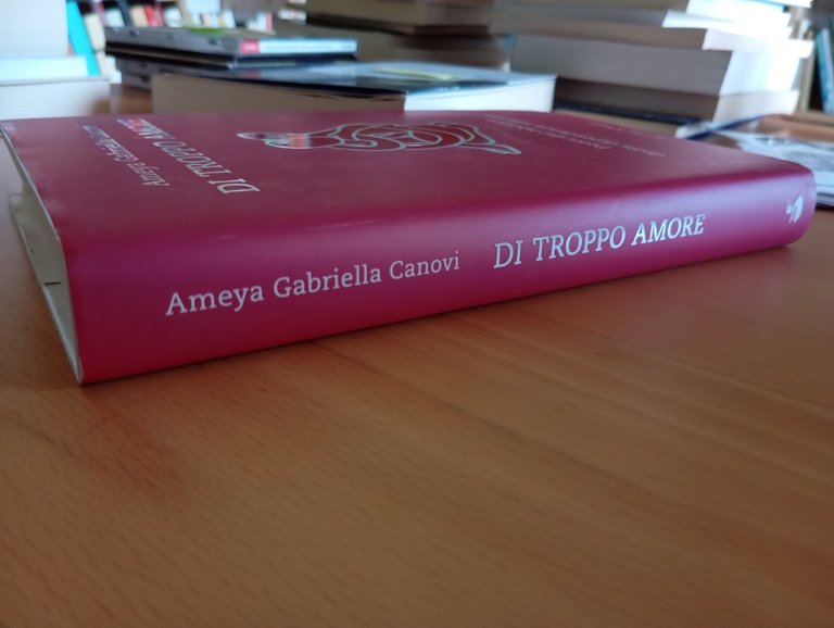 Di troppo amore, Ameya Gabriella Canovi, Sperling & Kupfer, 2022