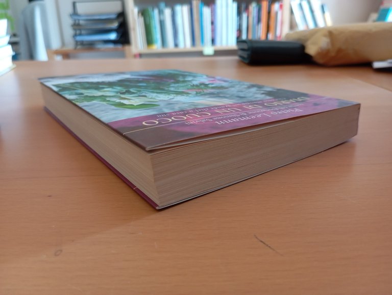 Diario di un cuoco, Pietro Leemann, Ponte alla Grazie, 2007