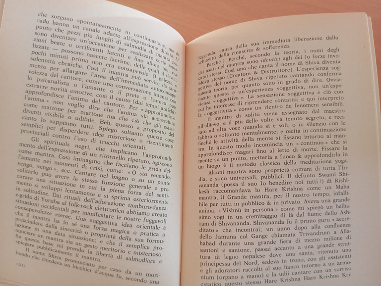 Diario indiano, Allen Ginsberg, Arcana editrice, A cura di Fernanda …