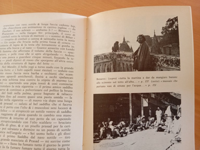 Diario indiano, Allen Ginsberg, Arcana editrice, A cura di Fernanda …