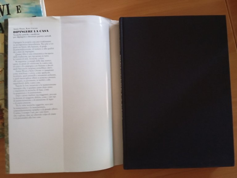 Dipingere la casa, Sloan - Gwynn, Zanichelli, 1995