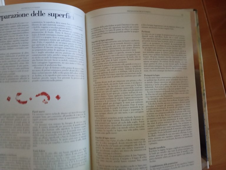 Dipingere la casa, Sloan - Gwynn, Zanichelli, 1995