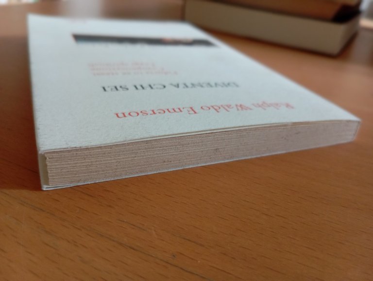 Diventa chi sei, Ralph Waldo Emerson, Donzelli, 2005 | Immagine Gallery 4