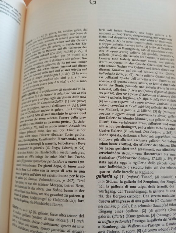 Dizionario di false analogie e ambigue affinità fra Tedesco e …