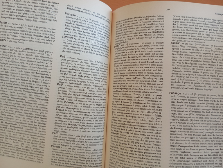 Dizionario di false analogie e ambigue affinità fra Tedesco e …