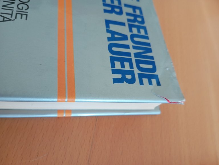 Dizionario di false analogie e ambigue affinità fra Tedesco e …