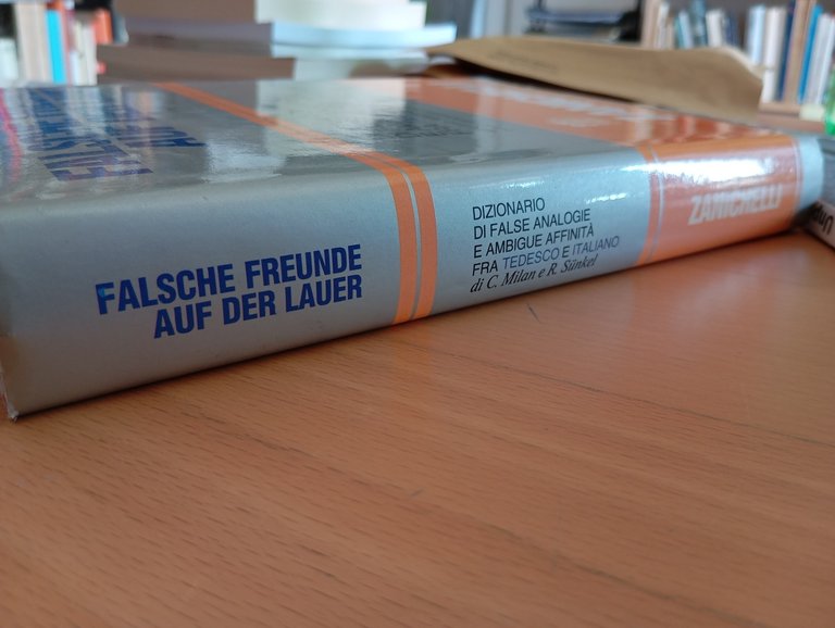 Dizionario di false analogie e ambigue affinità fra Tedesco e …