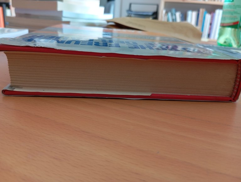 Dizionario di false analogie e ambigue affinità fra Tedesco e …