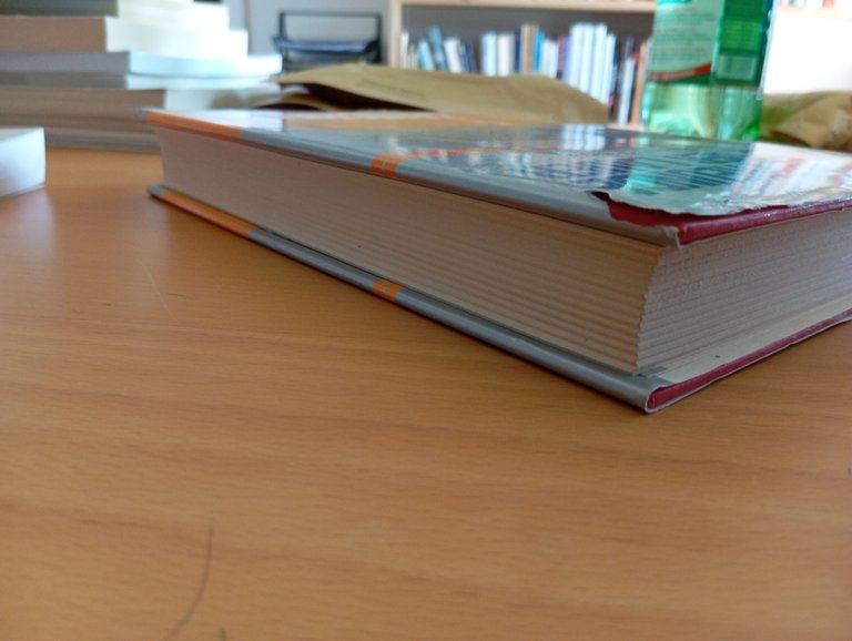 Dizionario di false analogie e ambigue affinità fra Tedesco e …