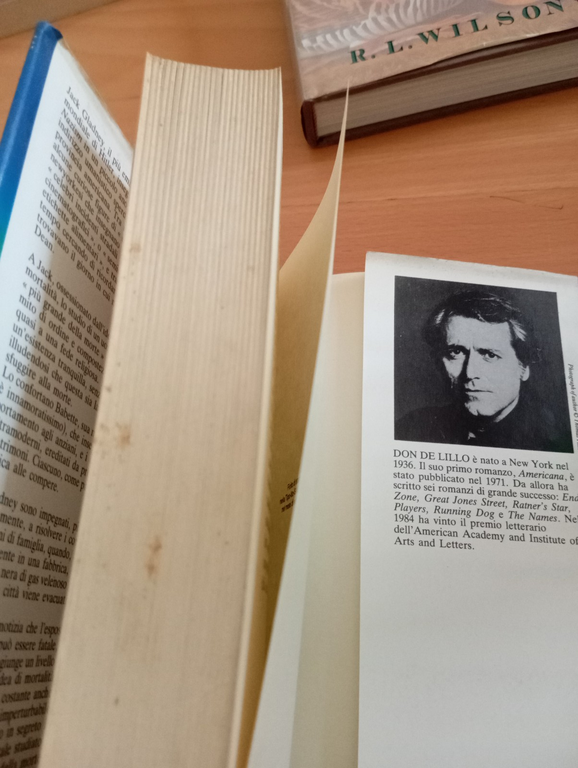 Don Delillo, Rumore bianco, Tullio Pitonti Editore, copertina psichedelica, 1987 | Immagine Gallery 7