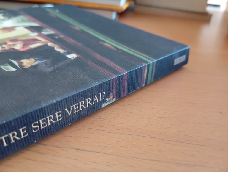 E le altre sere verrai?, Philippe Besson, Guanda, 2004 | Immagine Gallery 4