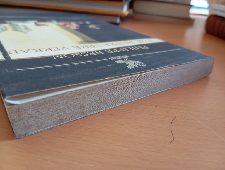 E le altre sere verrai?, Philippe Besson, Guanda, 2004 | Immagine Gallery 5