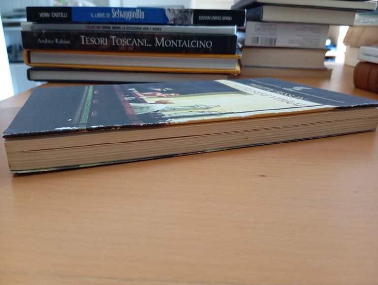 E le altre sere verrai?, Philippe Besson, Guanda, 2004 | Immagine Gallery 6