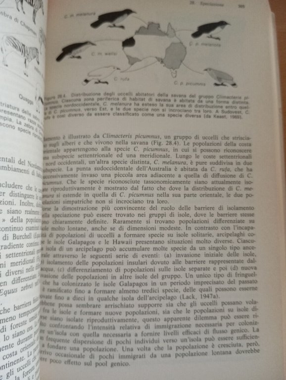 Ecologia, Robert E. Ricklefs, Zanichelli, 1976